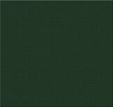 Teak &amp; Garden Deckchair kussen Groen 185 x 50 cm