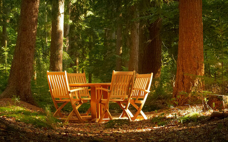 Traditional Teak VICTORIA folding armchair