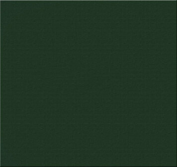 Teak &amp; Garden Recliner kussen Groen 123 x 50 cm (hoge rug)